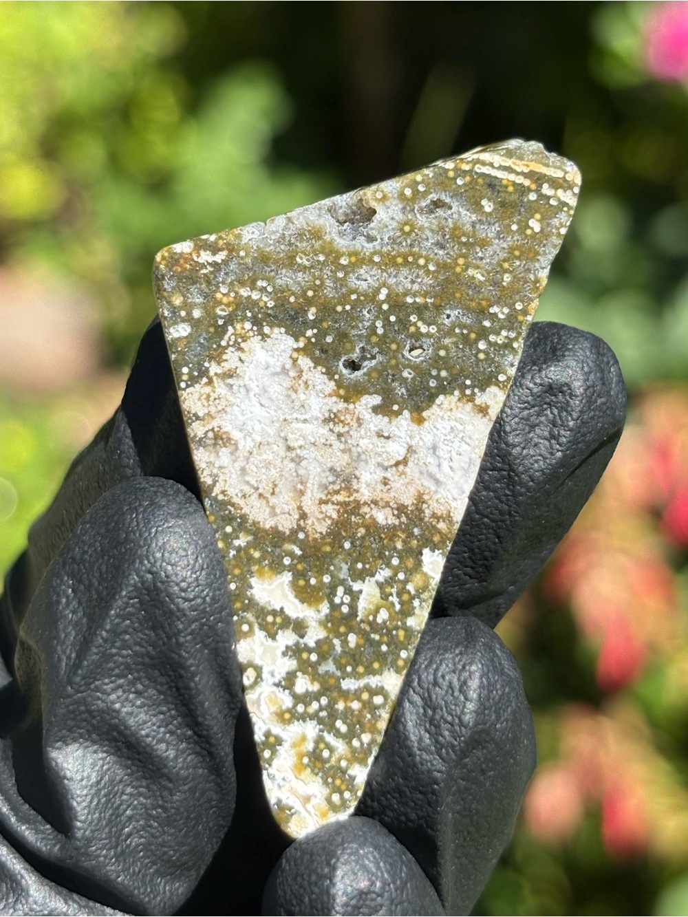 Ocean Jasper Crystal Freeform with Druzy - Polished Sea Jasper